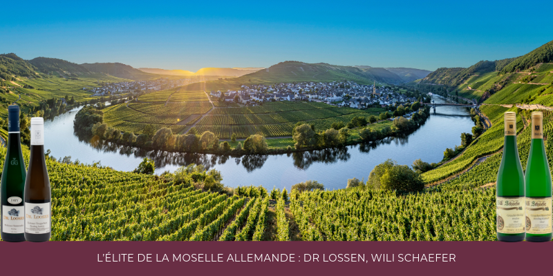 L&rsquo;&eacute;lite de la Moselle Allemande : Dr Lossen, Wili Schaefer